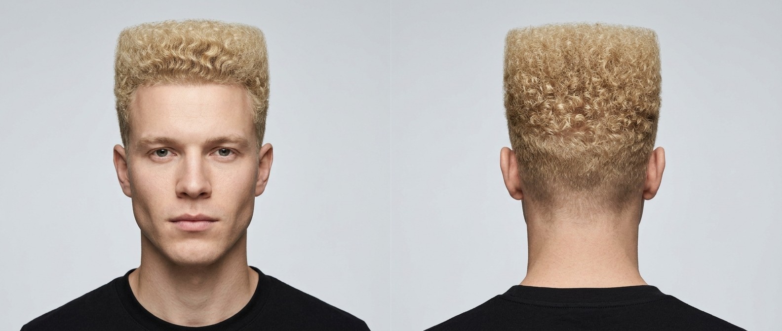Young blonde Caucasian man with a structured curly flat top haircut and high skin fade, showcasing tight type 4 coils and a squared silhouette.